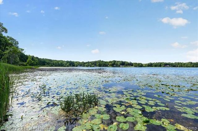 126 Parker, Ortonville Village, MI 48462