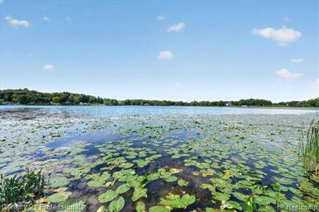 126 Parker, Ortonville Village, MI 48462
