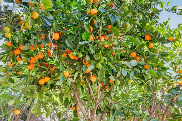 1725 3rd, La Verne, CA 91750