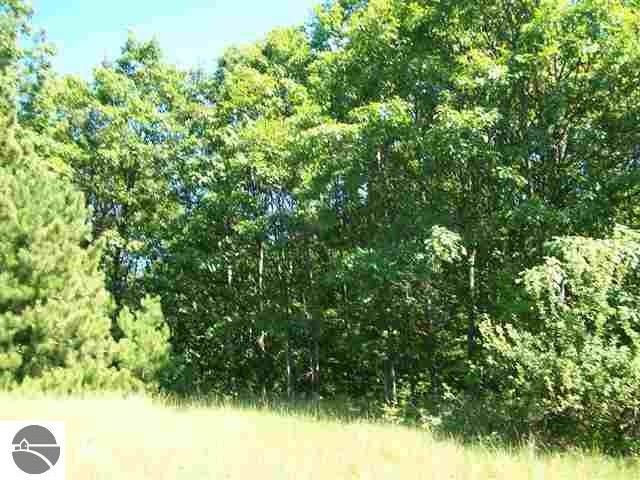 Lot 6 Torch Hills Lane, Rapid City, MI 49676