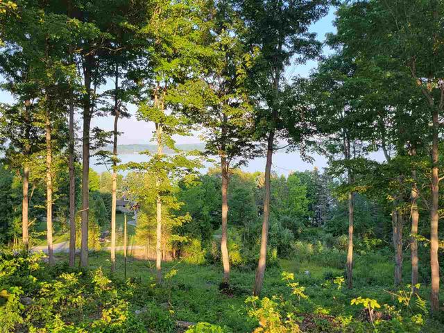 Lot 6 Torch Hills Lane, Rapid City, MI 49676