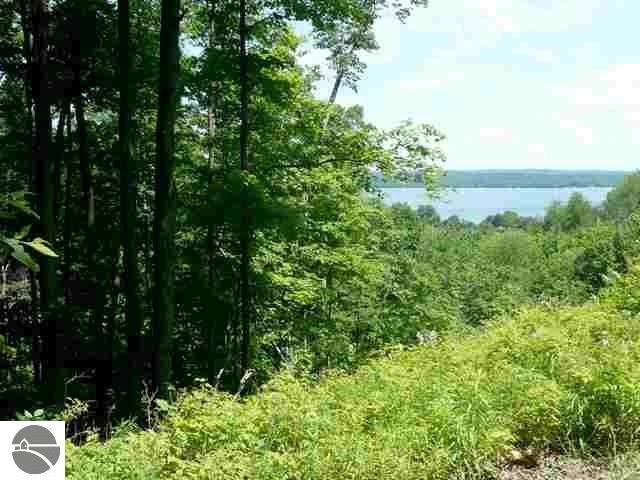 Lot 6 Torch Hills Lane, Rapid City, MI 49676