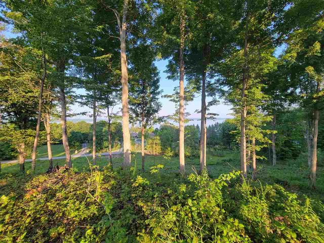 Lot 6 Torch Hills Lane, Rapid City, MI 49676