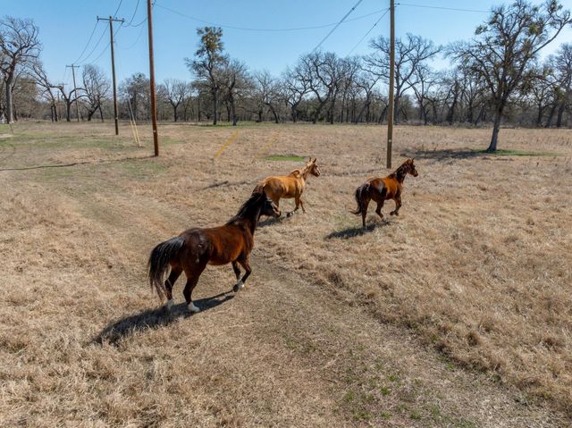 105 River Valley DR, Georgetown, TX 78626