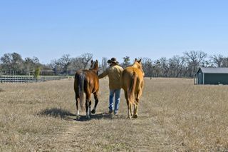 105 River Valley DR, Georgetown, TX 78626
