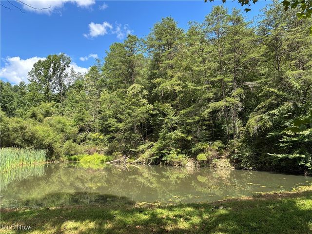 8089 Elk Fork Road, Middlebourne, WV 26149