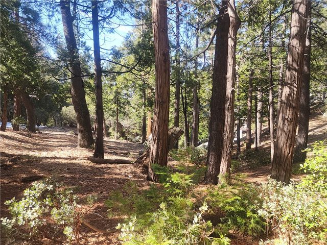 52547 Pine Cove, Idyllwild, CA 92549