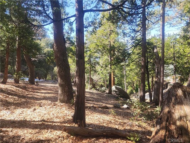 52547 Pine Cove, Idyllwild, CA 92549