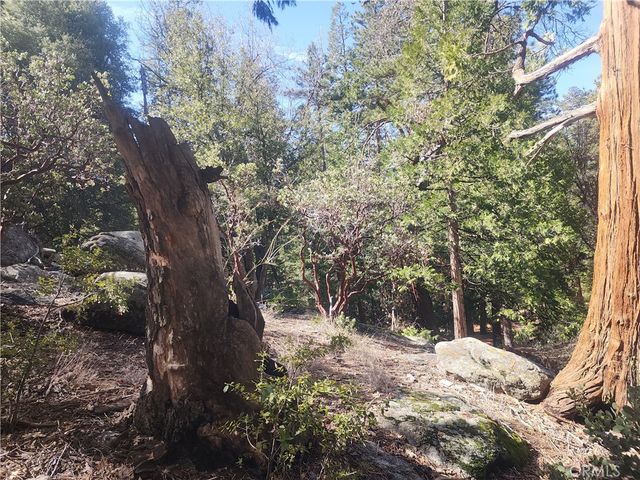 52547 Pine Cove, Idyllwild, CA 92549