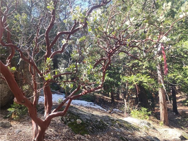 52547 Pine Cove, Idyllwild, CA 92549