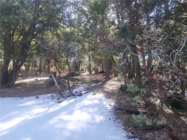52547 Pine Cove, Idyllwild, CA 92549