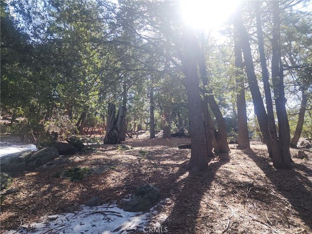 52547 Pine Cove, Idyllwild, CA 92549