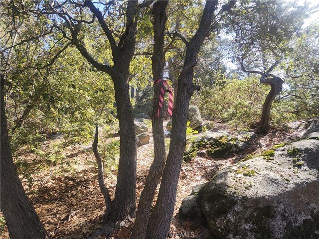 52547 Pine Cove, Idyllwild, CA 92549