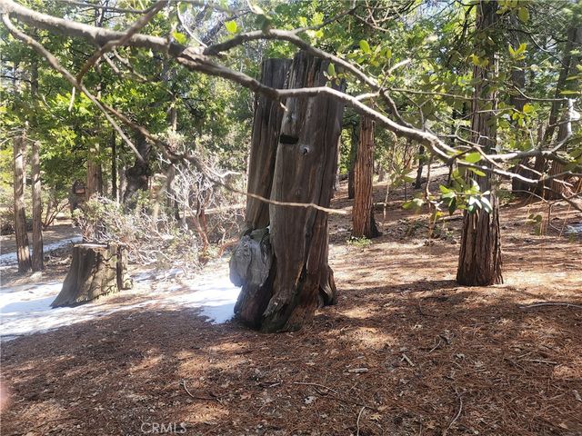 52547 Pine Cove, Idyllwild, CA 92549