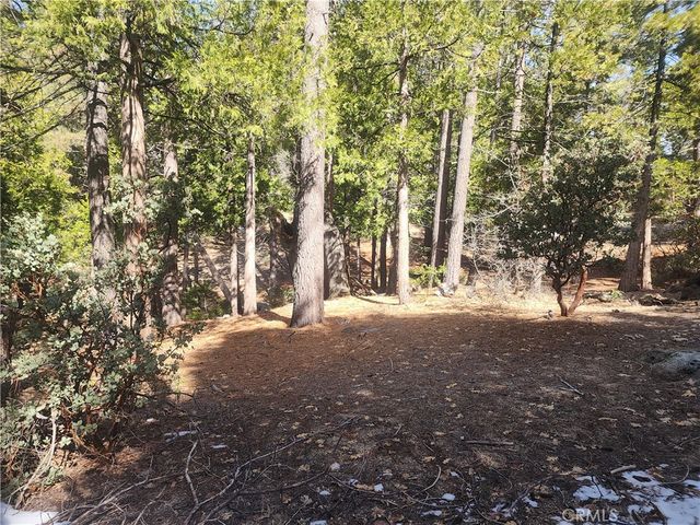 52547 Pine Cove, Idyllwild, CA 92549