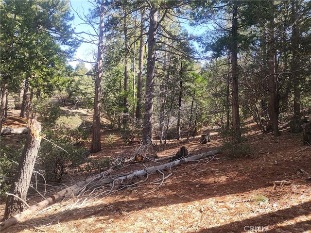 52547 Pine Cove, Idyllwild, CA 92549