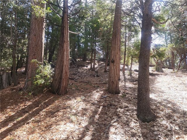 52547 Pine Cove, Idyllwild, CA 92549