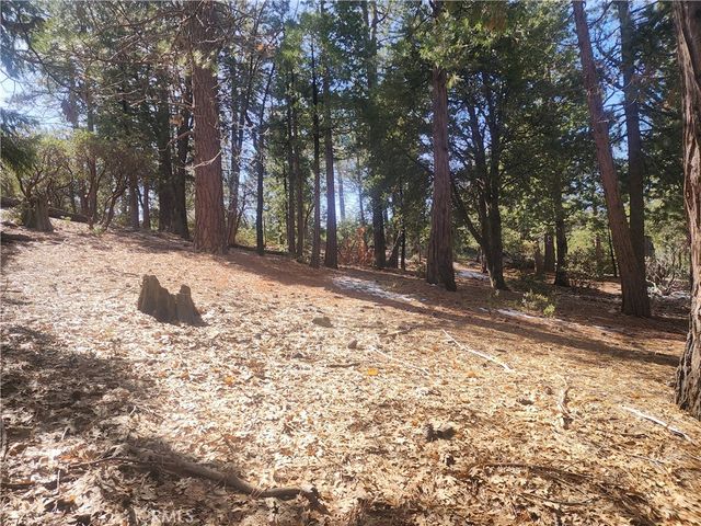 52547 Pine Cove, Idyllwild, CA 92549