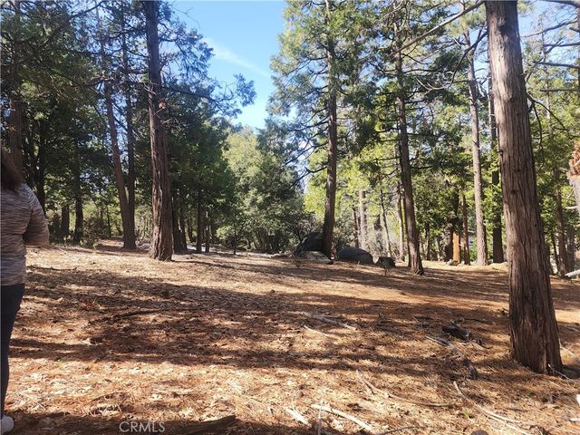 52547 Pine Cove, Idyllwild, CA 92549