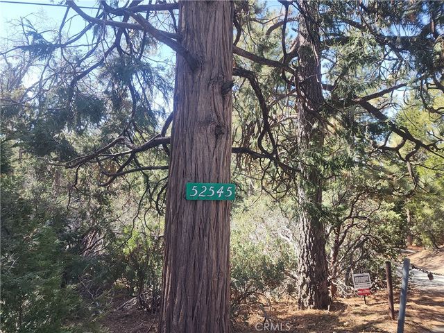 52547 Pine Cove, Idyllwild, CA 92549