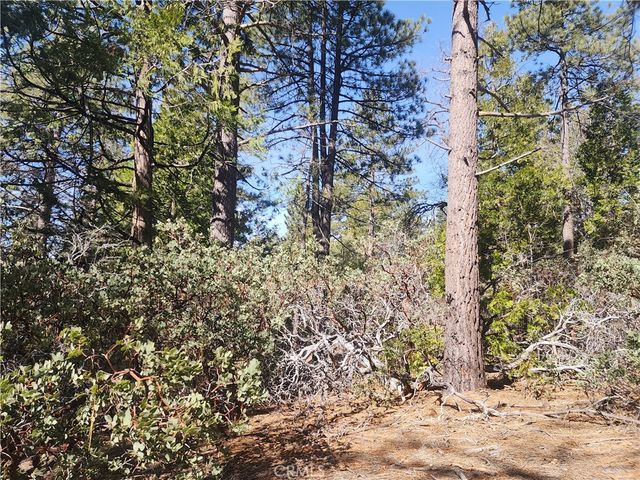 52547 Pine Cove, Idyllwild, CA 92549
