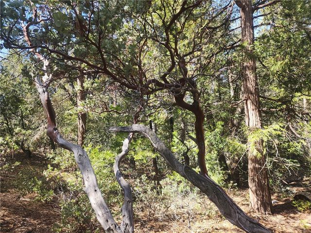 52547 Pine Cove, Idyllwild, CA 92549