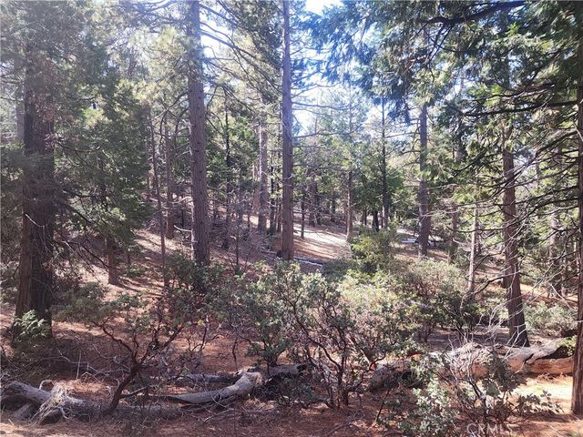 52547 Pine Cove, Idyllwild, CA 92549