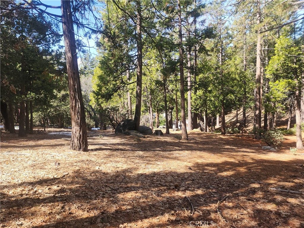 52547 Pine Cove, Idyllwild, CA 92549
