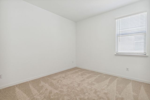 1120 Flameleaf Drive, Princeton, TX 75407