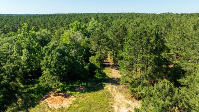 00 Fm 3016, Grapeland, TX 75844