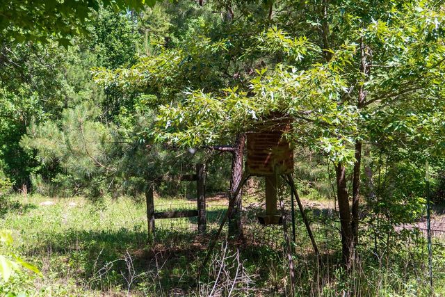 00 Fm 3016, Grapeland, TX 75844
