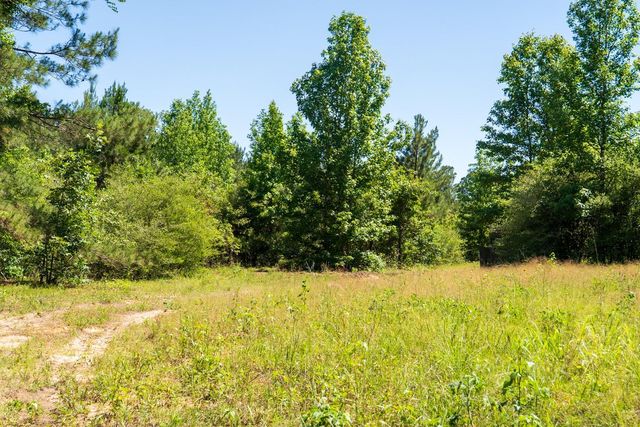 00 Fm 3016, Grapeland, TX 75844