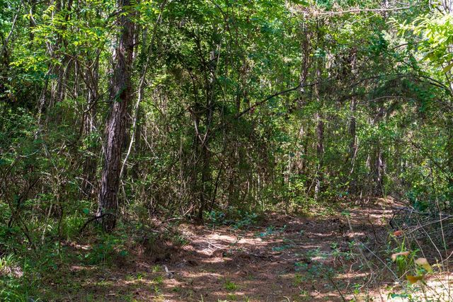 00 Fm 3016, Grapeland, TX 75844