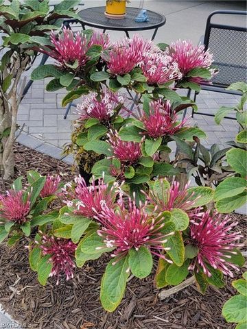 13580 Snook CIR, Naples, FL 34114