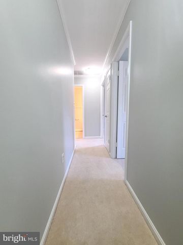 6644 GREEN ASH DR, Springfield, VA 22152