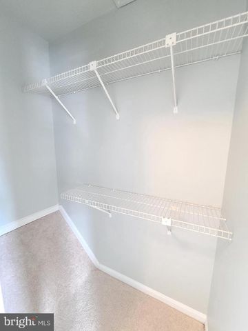 6644 GREEN ASH DR, Springfield, VA 22152