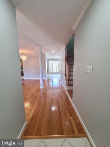 6644 GREEN ASH DR, Springfield, VA 22152