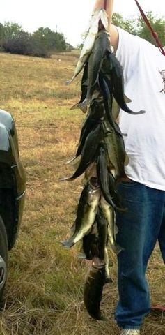 14744 County Road 546, Nevada, TX 75173