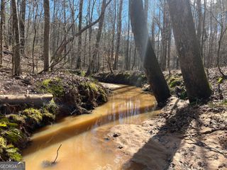 TRACT R4 Hulmes Chapel Road, Elberton, GA 30635