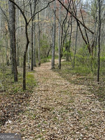 LOT 13 Sapphire Ridge, Blue Ridge, GA 30513