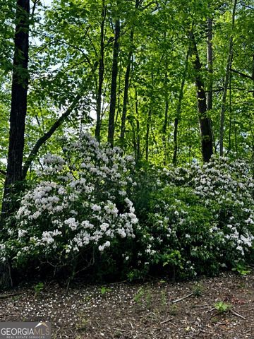 LOT 13 Sapphire Ridge, Blue Ridge, GA 30513