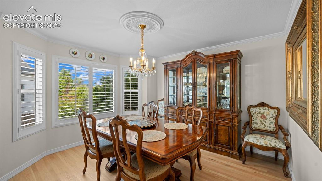 9040 Strand Way, Colorado Springs, CO 80920 — photo 5