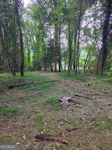 LOT 1 Thurman Street 1, Mccaysville, GA 30555