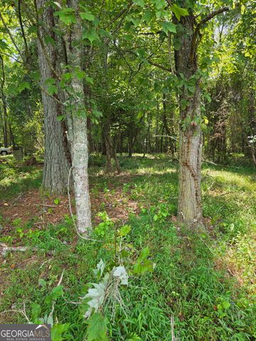 LOT 1 Thurman Street 1, Mccaysville, GA 30555