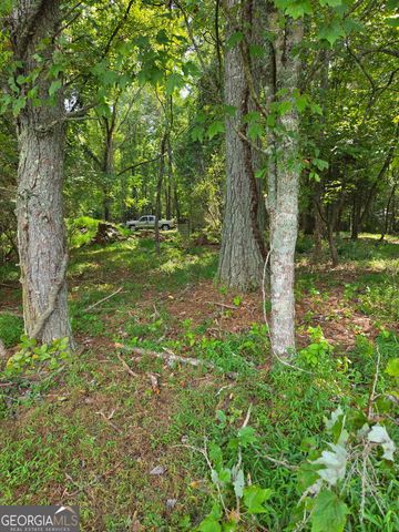 LOT 1 Thurman Street 1, Mccaysville, GA 30555