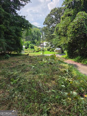 LOT 1 Thurman Street 1, Mccaysville, GA 30555