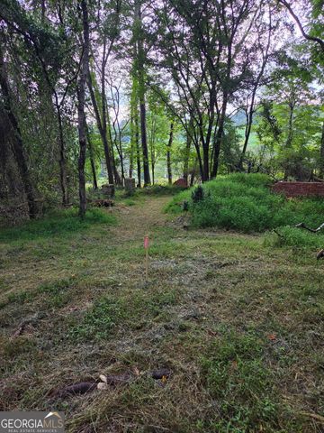 LOT 1 Thurman Street 1, Mccaysville, GA 30555