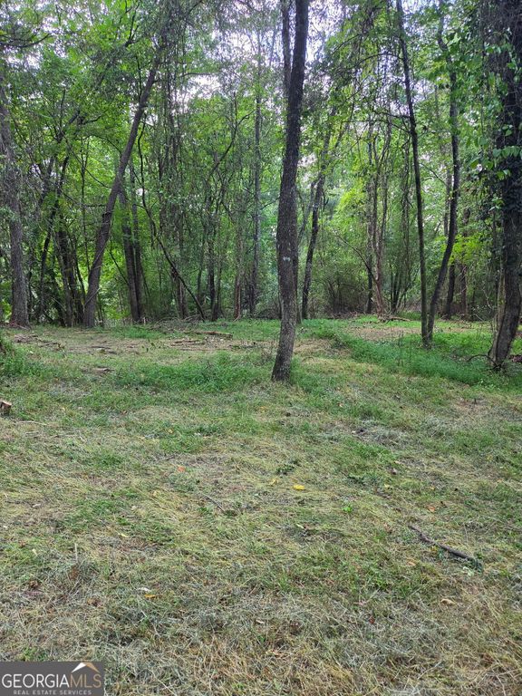 LOT 1 Thurman Street 1, Mccaysville, GA 30555