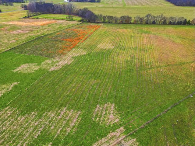 5654 Borthick Rd, Springfield, TN 37172