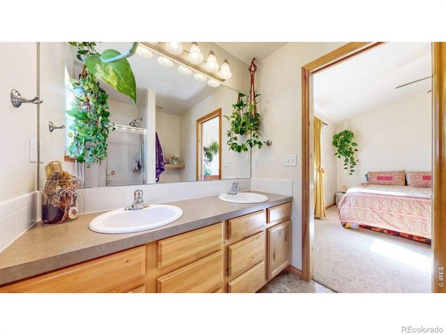 3351 Firewater Lane, Wellington, CO 80549